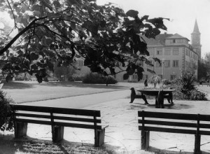 Göppinger Brunnen - von Künstlern gestaltet